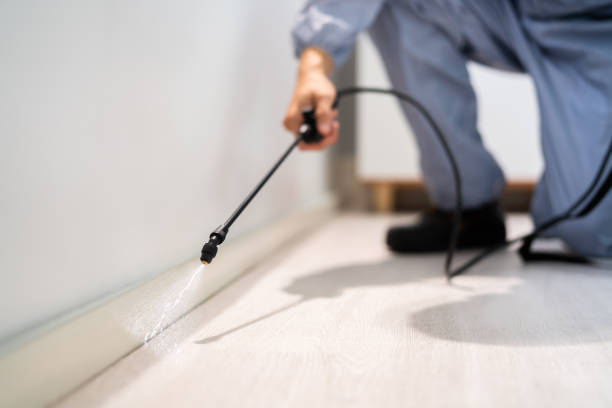 Licensed Cockroach Control service in Reno, TX - Nex Pest Control
