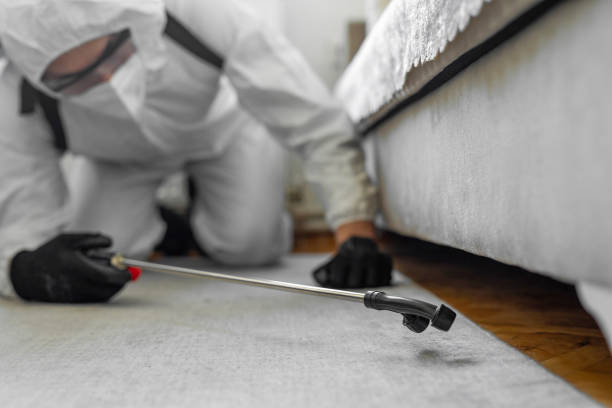 Professional Cockroach Control technician working in Reno, TX