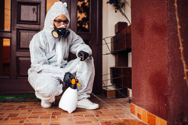 Reliable Cockroach Control contractor in Reno, TX by Nex Pest Control